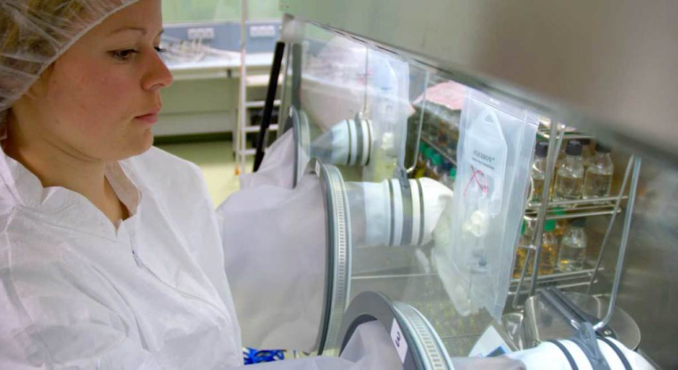 La capitalisation boursière de Transgene dépasse les 200 millions d'euros. (© Trangene)