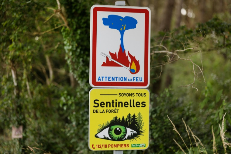 Dans la région du Mans, dans la Sarthe, le 18 juin 2025 ( AFP / Fred TANNEAU )