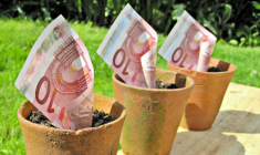 Le Revenu a identifié des placements performants pour toutes les bourses. (© taxrebate.org.uk)