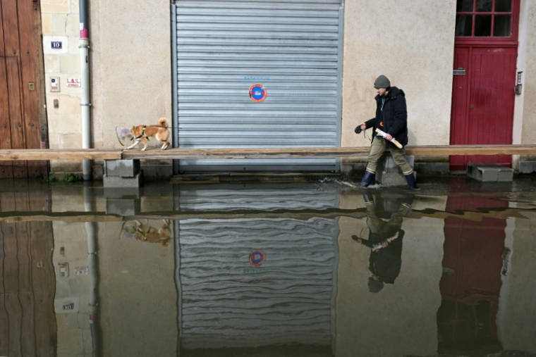 Un homme promène son chien dans une rue inondée d'Angers, le 20 février 2026  ( AFP / Damien MEYER )