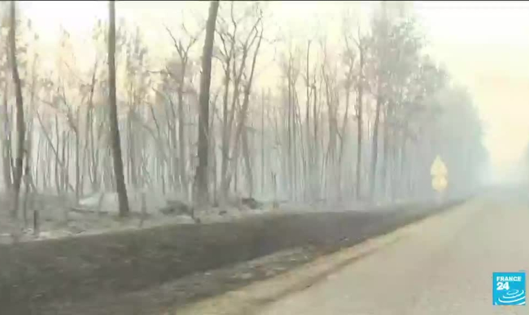 Multiplication des incendies en Europe : des feux toujours plus nombreux et plus précoces