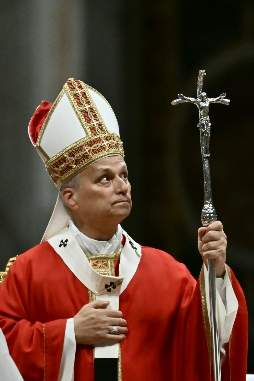 Le pape Léon XIV lors d'une messe à la basilique Saint-Pierre du Vatican, le 8 octobre 2026 ( AFP / Filippo MONTEFORTE )