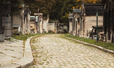 (Crédits photo : Unsplash - Wojciech Rzepka )