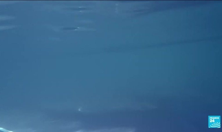 Dans le secret des abysses : des robots sous la mer