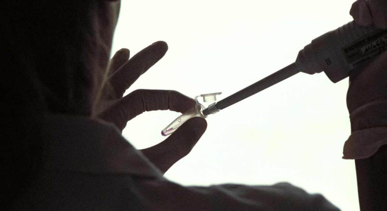 Innate a notamment annoncé l’acquisition des droits de licence d’un candidat-médicament détenu par une petite start-up lyonnaise d’innovation médicale, Orega. (© DR)