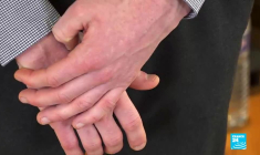 Pêche en France : le dauphin, une espèce mal protégée