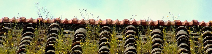 La SCPI France Investipierre de BNP Paribas REIM a acquis l’immeuble de bureaux « Le Bretagne » à Lille