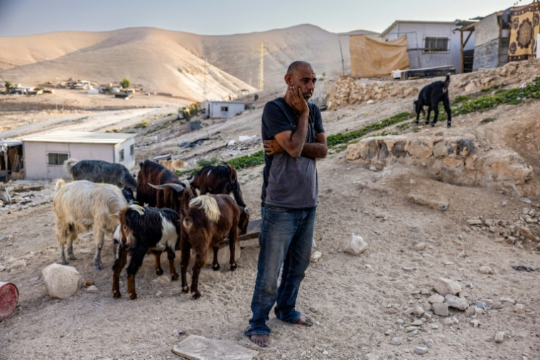 Le Bédouin palestinien Ahmed Kaabneh dans son village de Kaabna, près de Jéricho, en Cisjordanie occupée, le 6 novembre 2025 ( AFP / Menahem Kahana )
