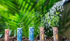 Ce que les jeunes adultes devraient faire pour préparer leur retraite