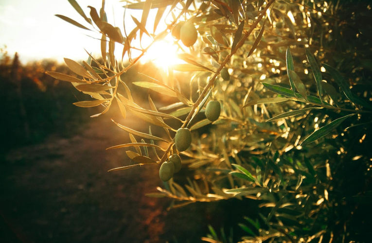 (Crédits: Unsplash - Flor Saurina)
