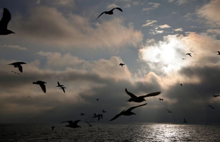 Vue sur les côtes du nord de la France