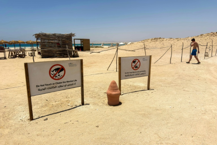 Des panneaux invitent les touristes à respecter la faune sur la plage de Ras Hankorab, dans la réserve naturelle de Wadi al-Gemal, dans le sud-est de l'Egypte, le 28 mai 2025 ( AFP / Khaled DESOUKI )