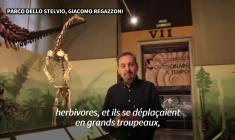 Un ensemble d'empreintes de dinosaures découvert en Italie