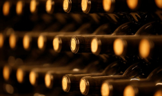 La cave du Château Le Puy à Saint Cibard