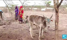 Les huit dernières années sont les plus chaudes jamais enregistrées, confirme l'ONU