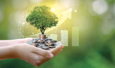 Pour bénéficier de plus grandes garanties sur la dimension environnementale, tournez-vous vers les fonds labellisés Greenfin. (© Shutterstock)