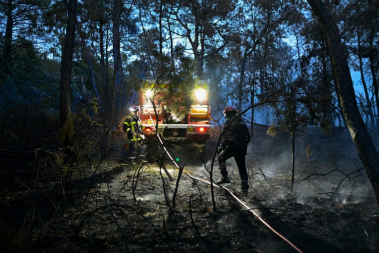 Des pompiers dans la forêt de Brocéliande, en Bretagne, le 18 juillet 2025 ( AFP / Damien MEYER )