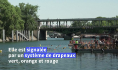 Parisiens et touristes retrouvent la Seine avec la réouverture des sites de baignade