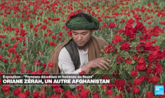 Les Afghans et les fleurs dans l'objectif d'Oriane Zerah