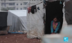 Guerre en Syrie : une jeunesse scarifiée par la guerre