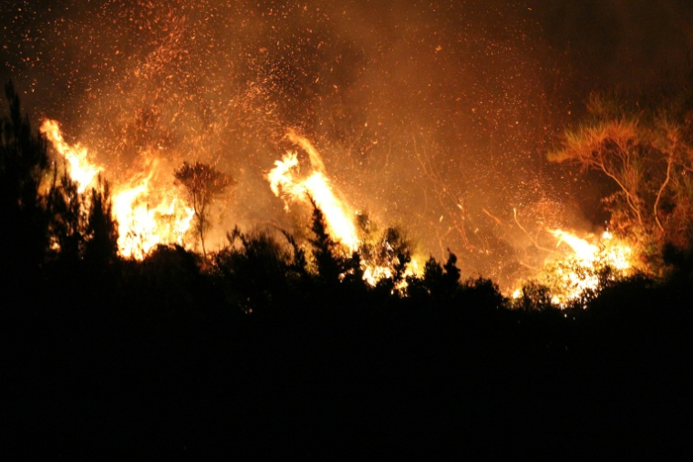 Feu de forêt dans la commune de Monreale, en Sicile, le 22 juillet 2026 ( AFP / Alessandro FUCARINI )