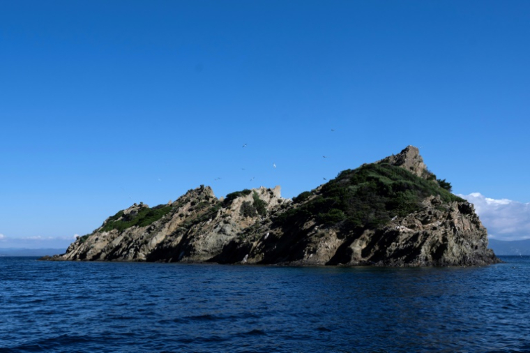 Le rocher de Rascas de l'île de Port-Cros, dans le Parc national d'Hyères, le 8 mai 2025 dans le Var ( AFP / Miguel MEDINA )