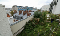 Un potager sur le toit de l'Opéra Bastille géré par la société agricole Topager, le 25 septembre 202 à Paris  ( AFP / Thomas SAMSON )