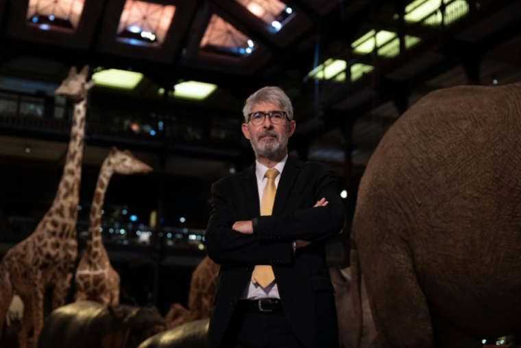 Gilles Bloch, président du muséum d'Histoire naturelle, le 29 septembre 2023 au muséum, à Paris ( AFP / Thomas SAMSON )
