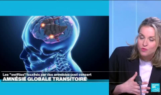 Amnésie globale transitoire : les "swifties" touchés par des amnésies post-concert