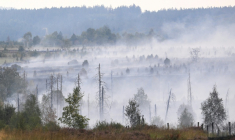 De la fumée s'échappet du sol et de la végétation brûlés lors d'un incendie de forêt dans la réserve naturelle des Hautes Fagnes, au sud-est de Bruxelles, le 17 août 2026 en Belgique ( AFP / JOHN THYS )