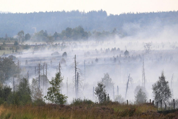 De la fumée s'échappet du sol et de la végétation brûlés lors d'un incendie de forêt dans la réserve naturelle des Hautes Fagnes, au sud-est de Bruxelles, le 17 août 2026 en Belgique ( AFP / JOHN THYS )