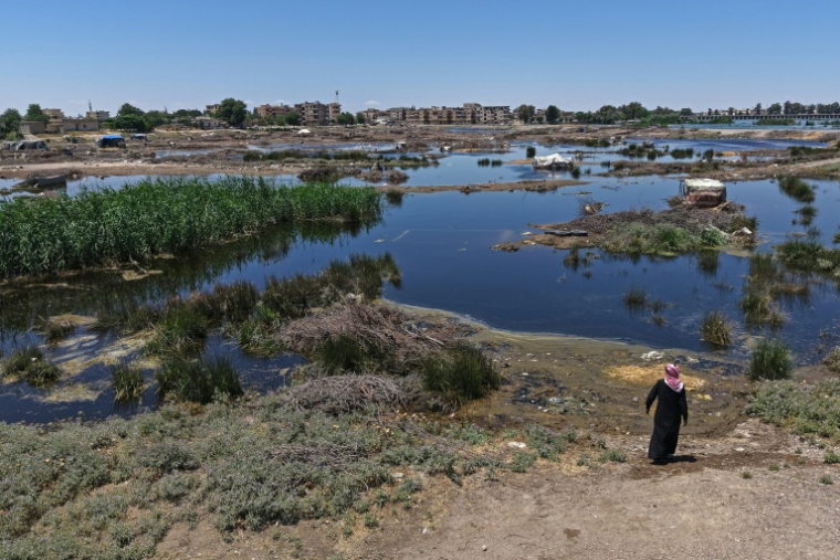 Un homme observe les dégats causés par les inondations dans la province syrienne de Raqqa, suite aux récentes crues de l'Euphrate, le 30 mai 2026 ( AFP / Bakr ALKASEM )