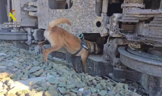 Catastrophe ferroviaire en Espagne: une équipe cynophile fouille les wagons accidentés