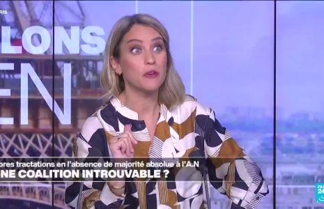 Législatives : une coalition introuvable ? Parlons-en avec B. Daugeron et M. Perelman