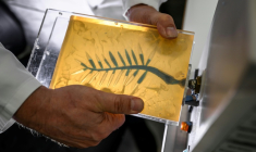 Un artisan injecte de la cire bleue dans un moule en caoutchouc lors d'une démonstration sur la fabrication de la Palme d'or de Cannes, le 21 avril 2026, dans un atelier de la maison Chopard à Meyrin, près de Genève  ( AFP / Fabrice COFFRINI )