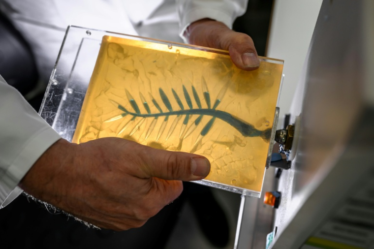 Un artisan injecte de la cire bleue dans un moule en caoutchouc lors d'une démonstration sur la fabrication de la Palme d'or de Cannes, le 21 avril 2026, dans un atelier de la maison Chopard à Meyrin, près de Genève  ( AFP / Fabrice COFFRINI )