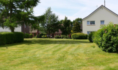 Comment concilier arbres et bon voisinage ? / iStock.com - Luthfi Syahwal