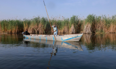 Le militant environnemental Ahmed Neema dans les marais de Hawizeh, en Irak, le 25 avril 2025 ( AFP / Asaad NIAZI )
