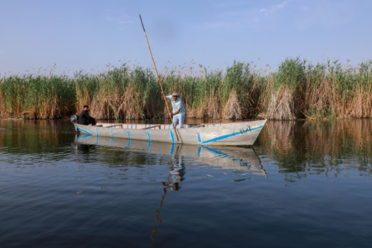 Le militant environnemental Ahmed Neema dans les marais de Hawizeh, en Irak, le 25 avril 2025 ( AFP / Asaad NIAZI )