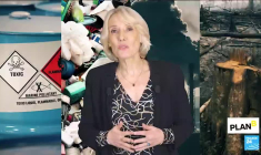 Biodiversité : donner des droits à la nature pour limiter son exploitation