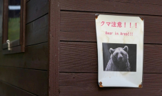 Affichette avertissant de la présence d'ours dans les parages, à Akita, au Japon, le 25 octobre 2025 ( AFPTV / Caroline GARDIN )