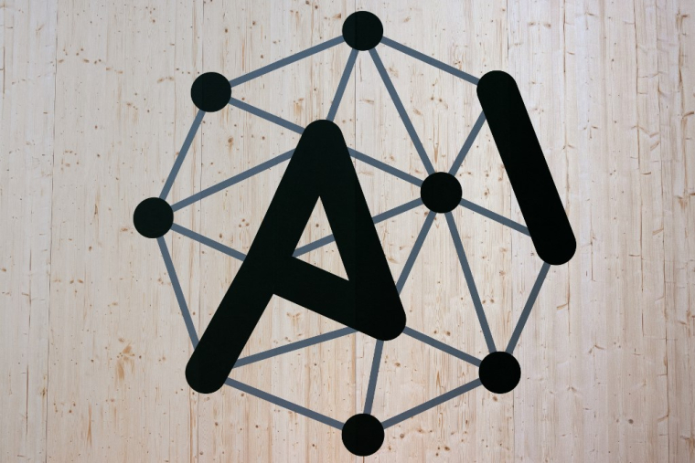 ( AFP / JOEL SAGET )