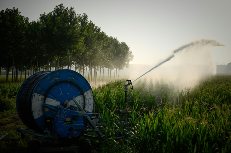 Un enrouleur d'irrigation arroe un champ de maïs à La Réole, en Gironde, lors d'une vague de chaleur en France, le 8 juillet 2026 ( AFP / Philippe LOPEZ )