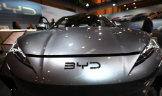 ( AFP / INA FASSBENDER )