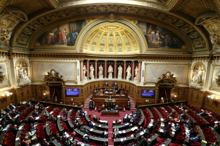 Le gouvernement entame lundi au Sénat une course parlementaire pour élargir cette semaine le corps électoral des provinciales en Nouvelle-Calédonie ( AFP / Alain JOCARD )