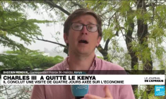 Après un an d'exil, l'opposant Succès Masra est rentré au Tchad