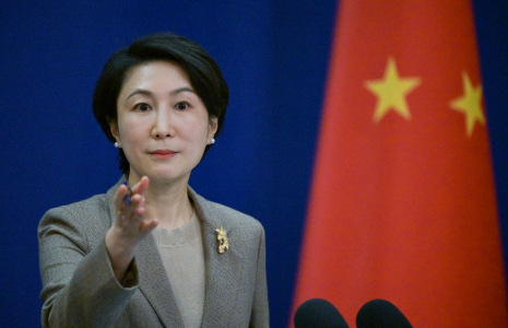 Mao Ning à Pékin, en Chine, le 15 janvier 2024. ( AFP / PEDRO PARDO )
