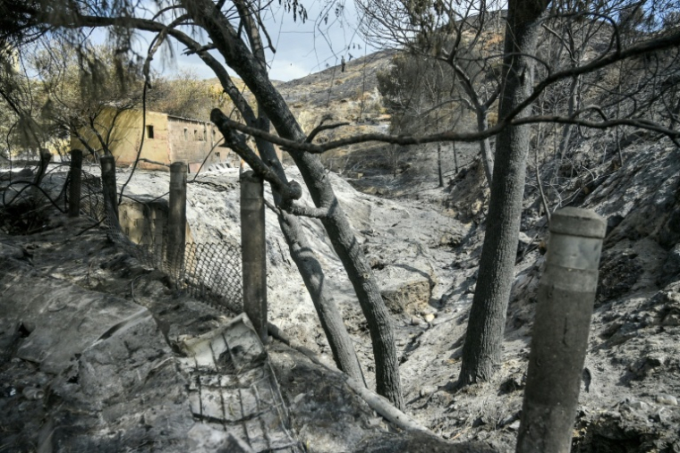 Une habitation détruite dans l'incendie qui a tué 12 personnes dans le sud de l'Espagne, le 12 juillet 2026 à Almocaizar, dans la province d'Almeria, en Andalousie ( AFP / Jose JORDAN )