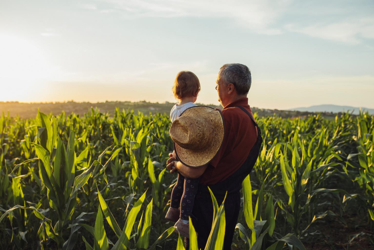 Il existe aujourd’hui de nouvelles méthodes pour voyager autrement que dans un avion crédit photo : Shutterstock