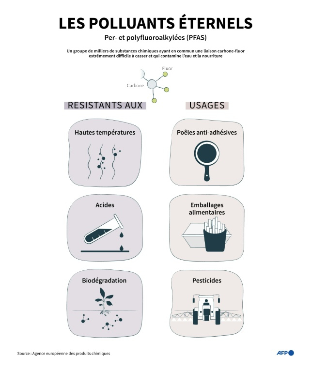 Propriétés et usages d'un groupe de substances chimiques, les per- et polyfluoroalkylées (PFAS) aussi connu sous le nom de "polluants éternels" ( AFP / Jonathan WALTER )